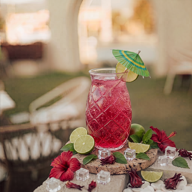 UNIQUE HIBISCUS SODA
